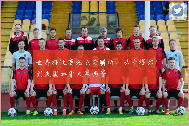 世界杯比赛地点全解析：从卡塔尔到美国加拿大墨西哥