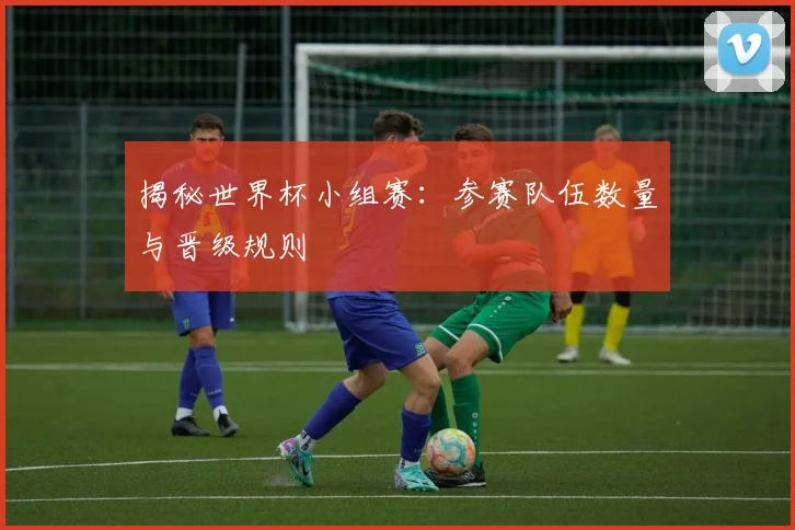 揭秘世界杯小组赛：参赛队伍数量与晋级规则